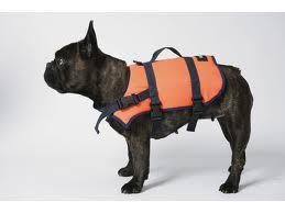 Besto Hondenzwemvest S (4-8 kg)