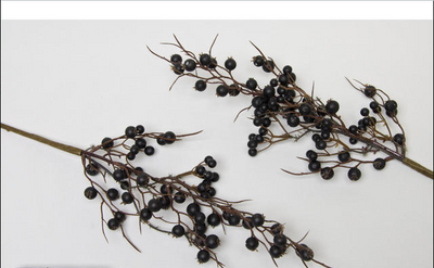 Van Manen Cranberry pick