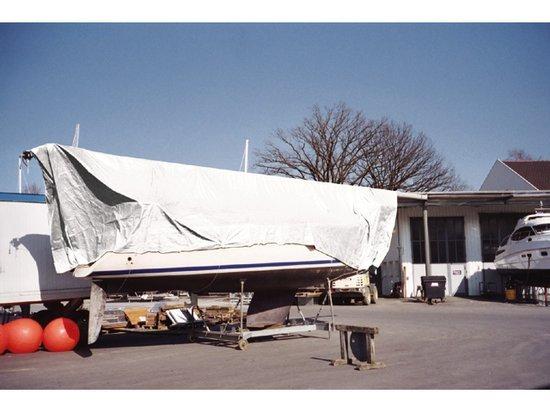 Talamex Dekkleed 8x10m 250gr/m2