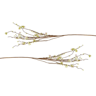 Van Manen Wild Vibernum