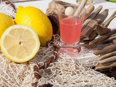 Marine Business Scheepsservies Party