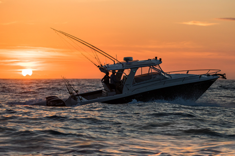 Simrad HALO24