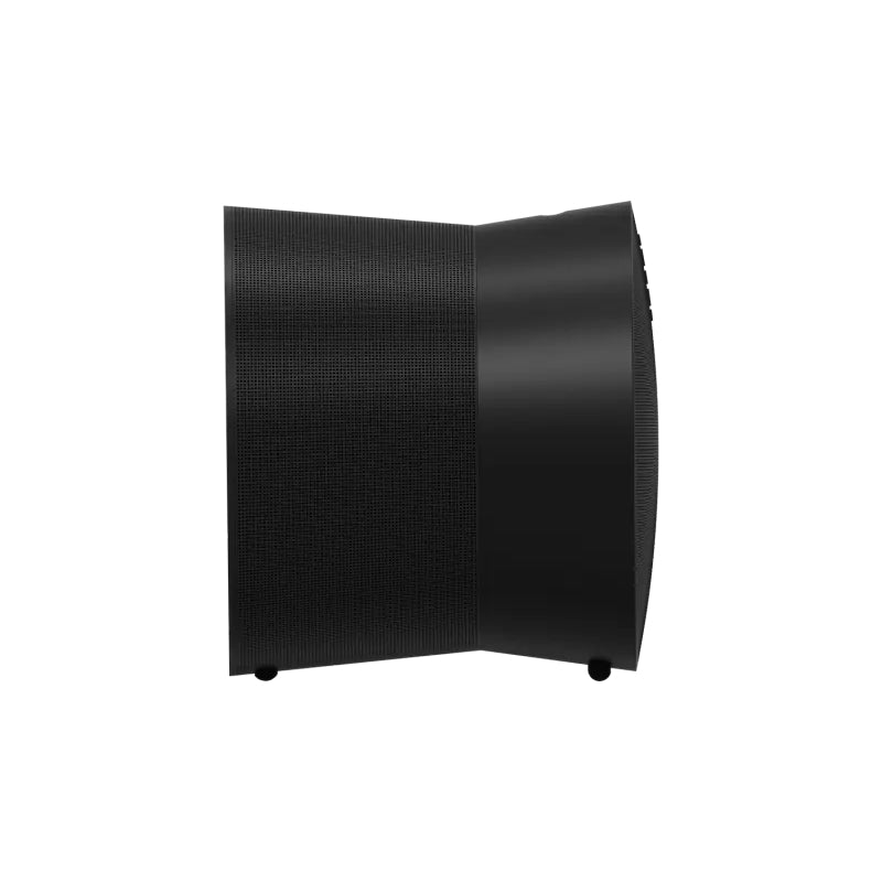Sonos Era 300 zwart