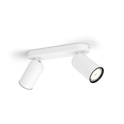 Philips Pongee bar/tube 2xNW