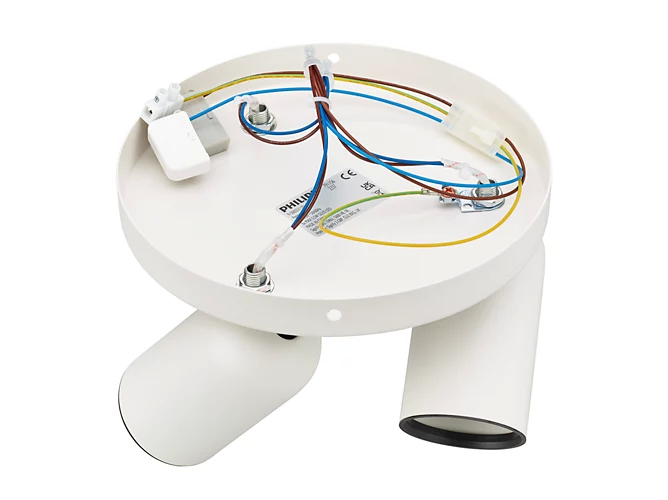 Philips Pongee plate/spiral