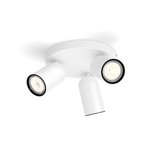Philips Pongee plate/spiral
