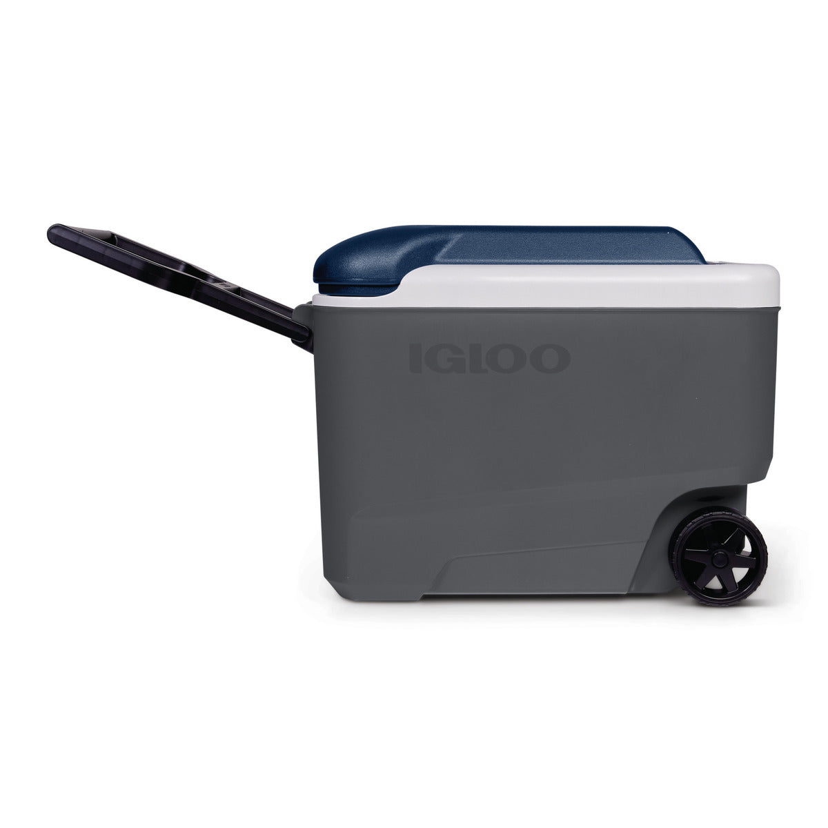 Igloo MC40R
