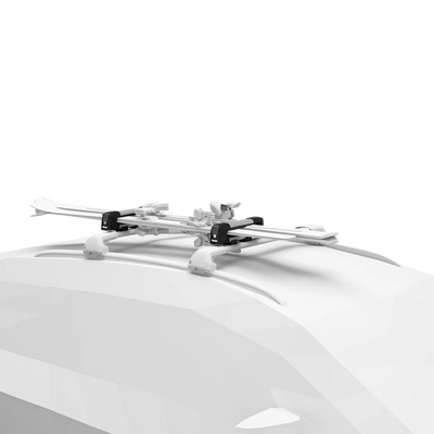 Thule SnowPack S