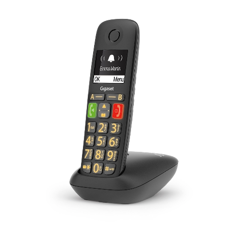 Gigaset E290R DUO DECT Telefoon