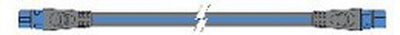 Raymarine STNG Backbone Kabel