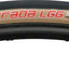 Clement Strada LLG Skinwall