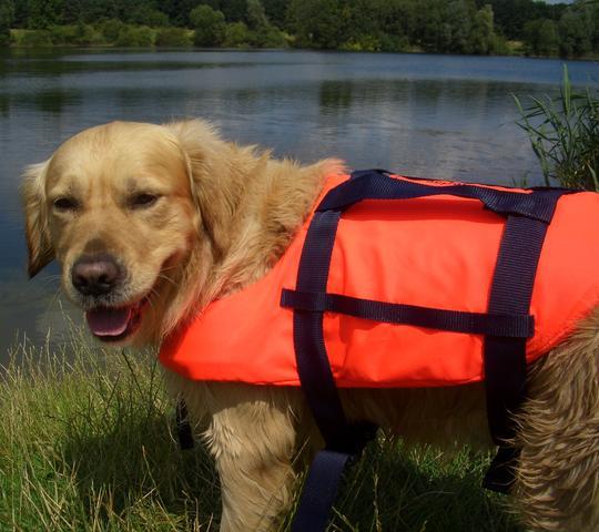 Seilflechter Hondenzwemvest L (15-40 kg)