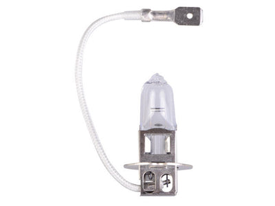 Talamex Halogeenlamp 12V/55W PK22S