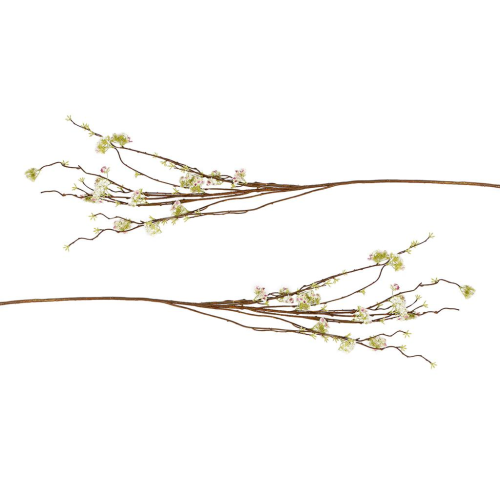 Van Manen Wild Vibernum