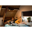 Philips RUNNER HUE