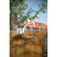 Alecto WS-3800