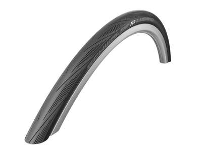 Schwalbe Lugano