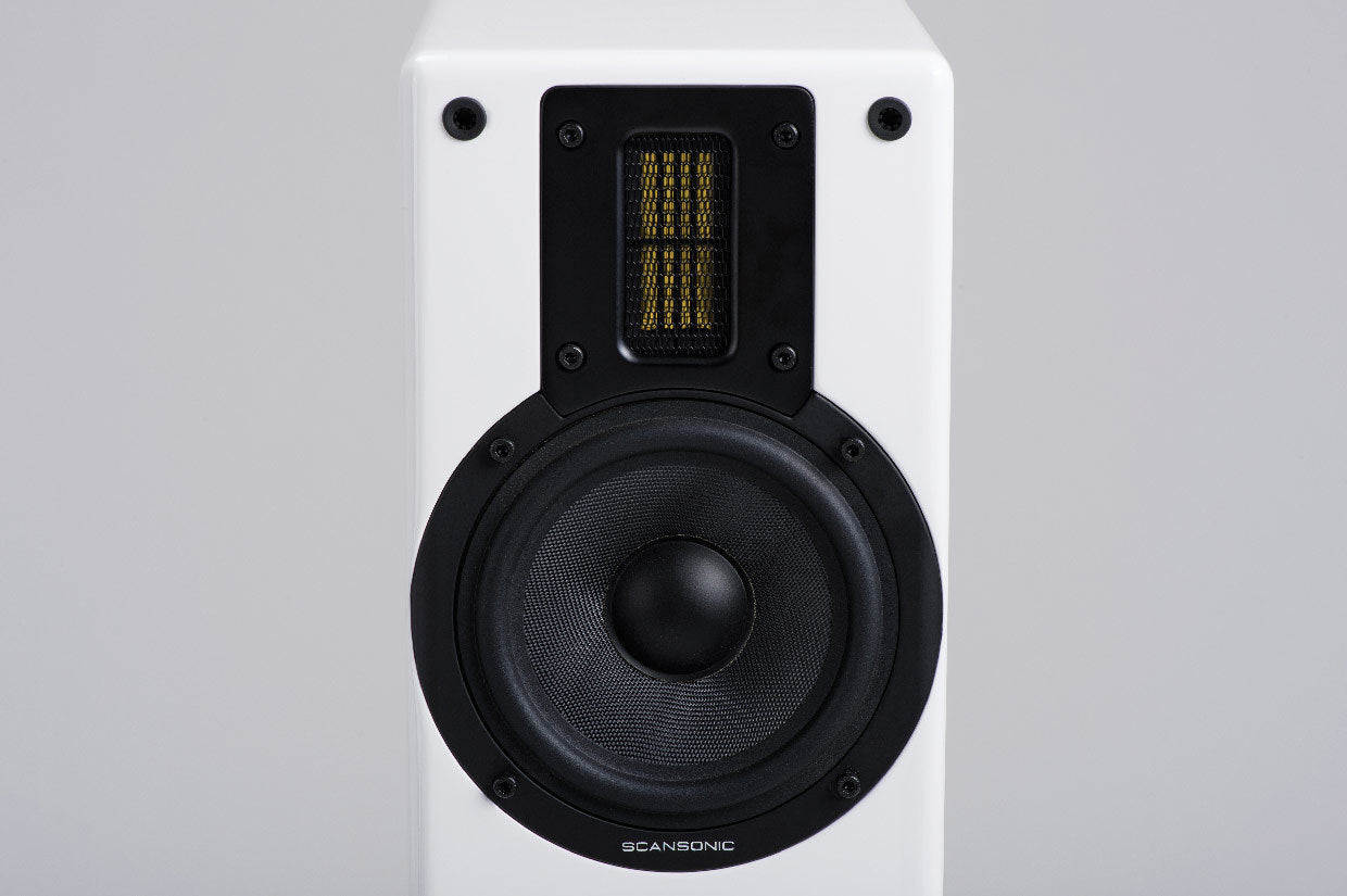 Scansonic M6