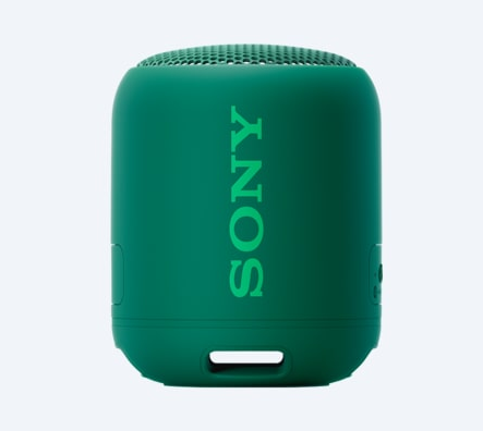 Sony SRSXB12G