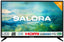Salora 24LTC2100
