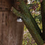 Brennenstuhl Oli 0200 LED-lamp voor buitenshuis