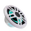 Fusion XS-FL77SPGW