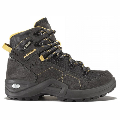 Lowa INNOX GTX LO Ws