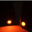 SealSkinz All Weather Cycle LED 36-38