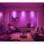 Philips Centura Hue Aluminium