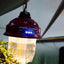 Barebone Beacon