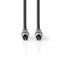 Nedis Optische audio kabel