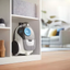 Philips XB2122/09 Stofzuiger