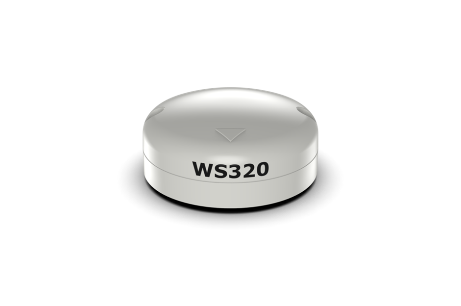 B&G WS320