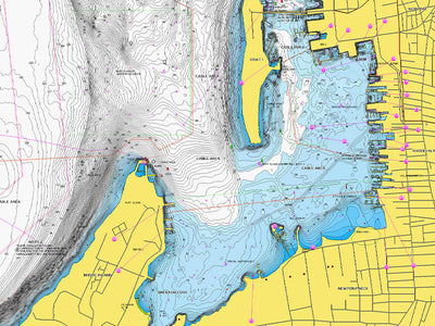 Garmin Navionics+ NSEU646L