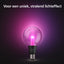 Philips Hue LG G95 E27 EU