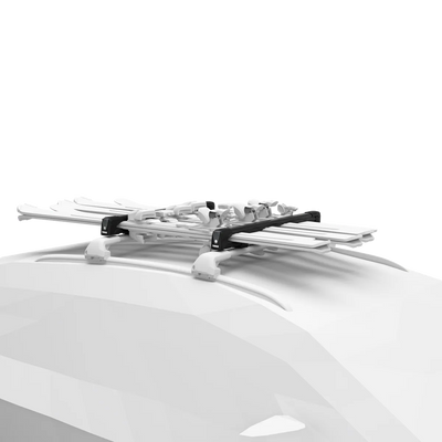Thule SnowPack L