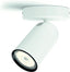 Philips Pongee single spot