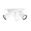 Philips Pongee plate/spiral