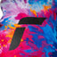 Reusch Carter R-TEX XT Mitten 6