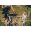 Cadac Carri Chef 50 BBQ Paella