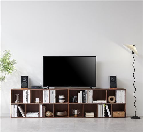 Tangent Ampster TV II