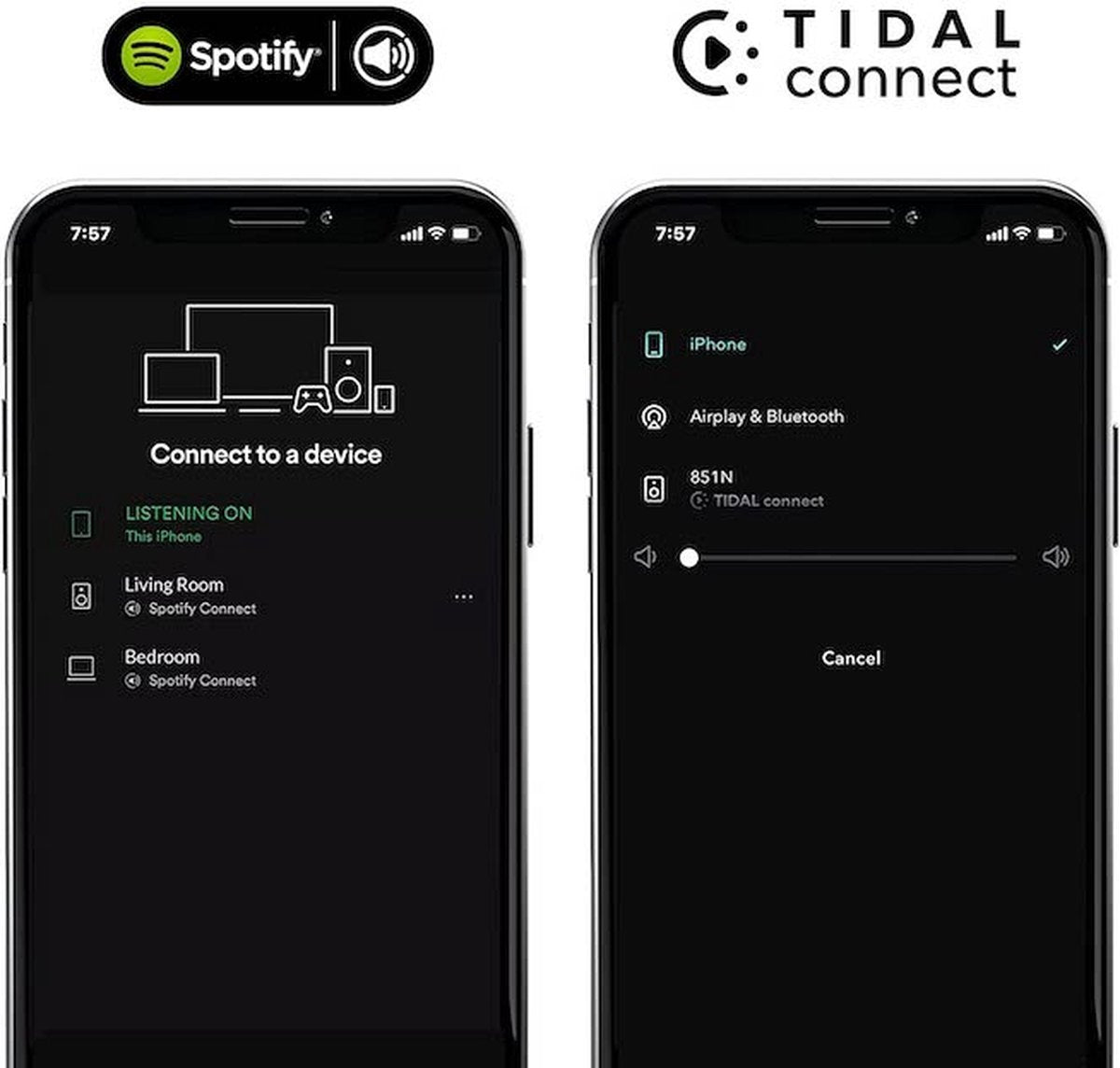 Wiim Mini audio Streamer