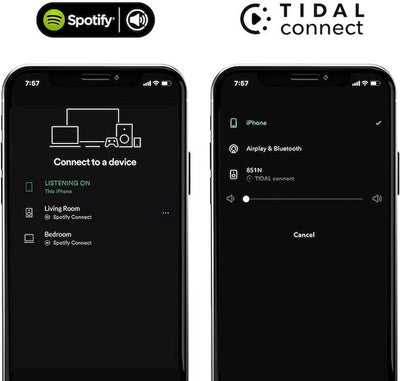 Wiim Mini audio Streamer