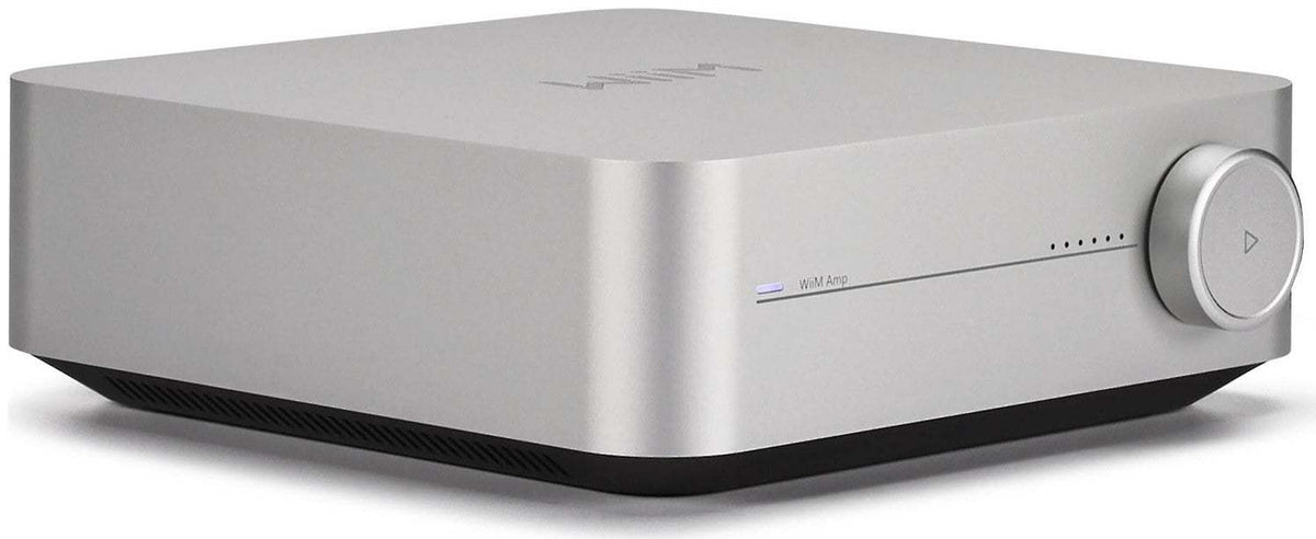Wiim Amp zilver