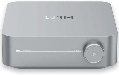 Wiim Amp zilver
