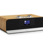 Roberts Blutune 300