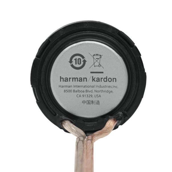 Harman Kardon Flow 601CFS