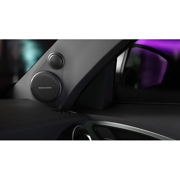 Harman Kardon Flow 601CFS