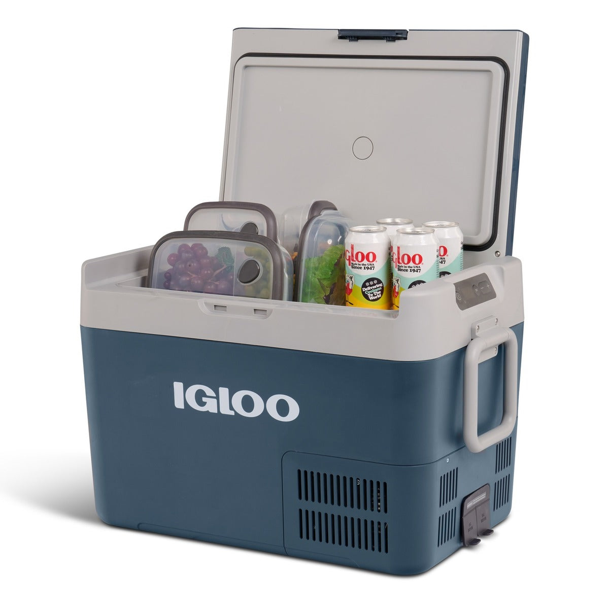Igloo ICF32BLU