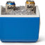 Igloo PMP7SB